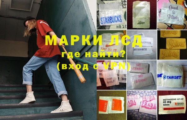 PSILOCYBIN Абаза