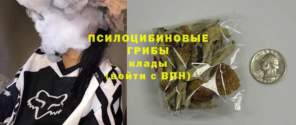 прущие грибы Алзамай
