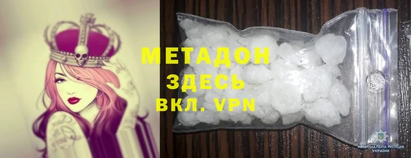 прущие грибы Алзамай