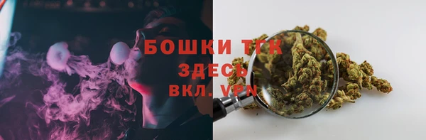 PSILOCYBIN Абаза