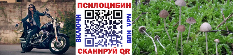 Псилоцибиновые грибы прущие грибы  ОМГ ОМГ вход  Черноголовка  что такое  